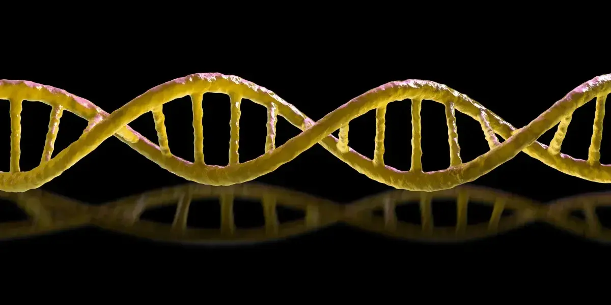 Ninguém tem certeza se a vida no espelho sintético vai matar todos nós