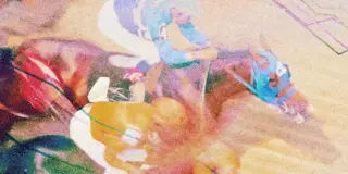 O download: o estado da IA ​​e a proteção dos ursos com drones